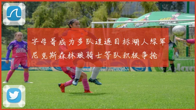 字母哥成为多队追逐目标湖人绿军尼克斯森林狼骑士等队积极争抢